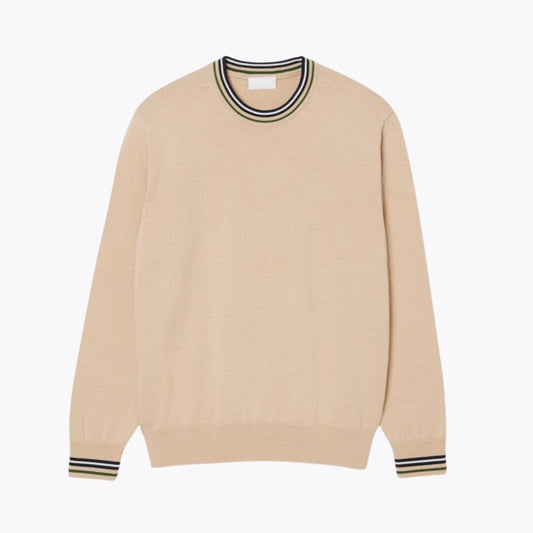 Striped Cotton Jersey Sweater